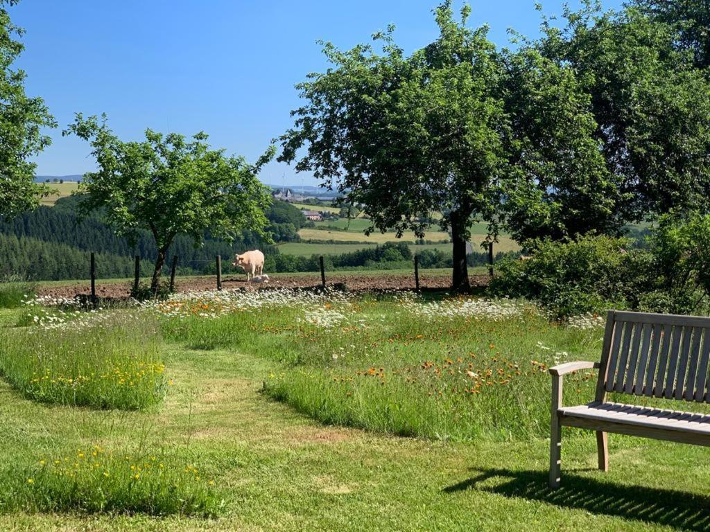 Apartamento Urlaub Mit Hund Auf Dem Bauernhof Hofswald Euscheid Exterior foto