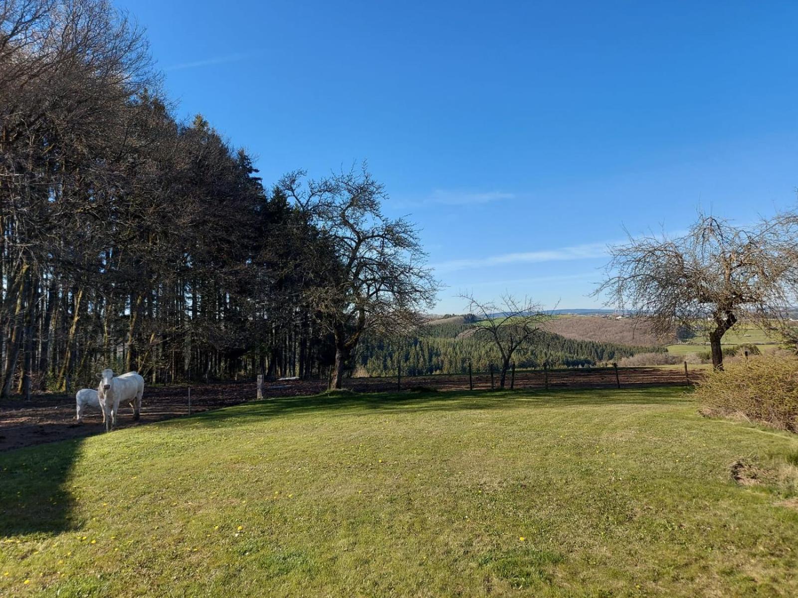 Apartamento Urlaub Mit Hund Auf Dem Bauernhof Hofswald Euscheid Exterior foto