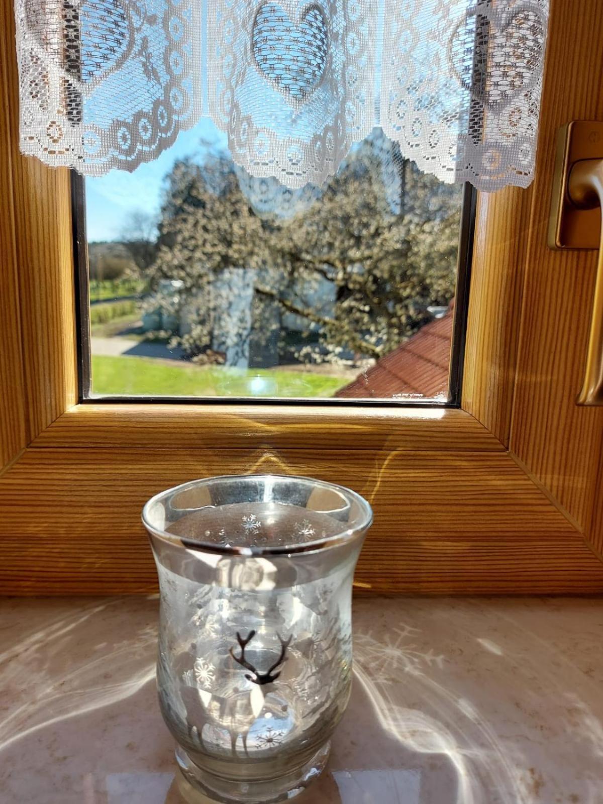 Apartamento Urlaub Mit Hund Auf Dem Bauernhof Hofswald Euscheid Exterior foto
